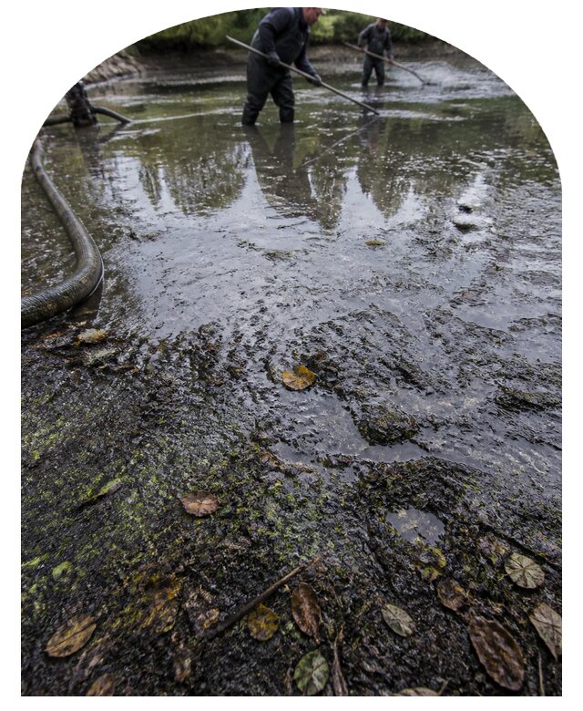 Очистка пруда в Кандалакше от ила мусора и водорослей с вывозом